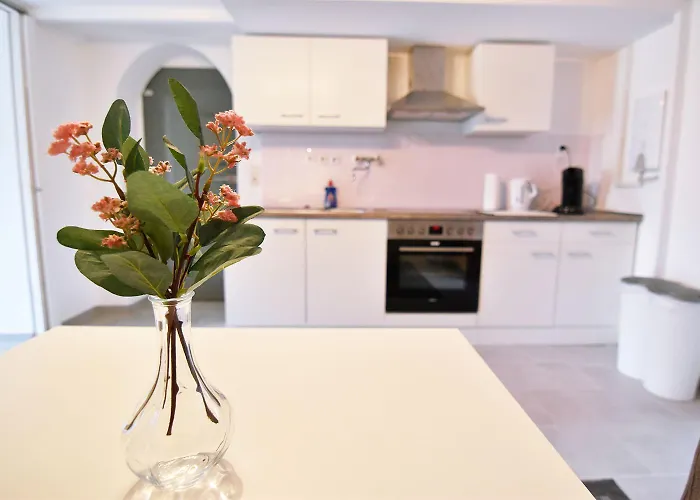 Work & In Near Cologne